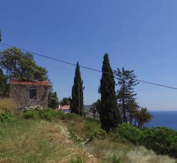 Land with a project of a house in Bordighera