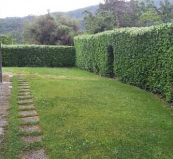 Покупка квартиры с садом город Pignone, Лигурия