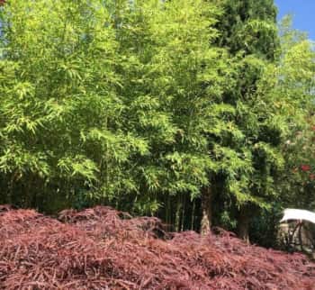 В Бадалукко, Италия купить виллу с садом по цене 341000 euro