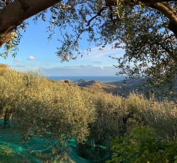 Купить виллу в горах Италии, Лигурия