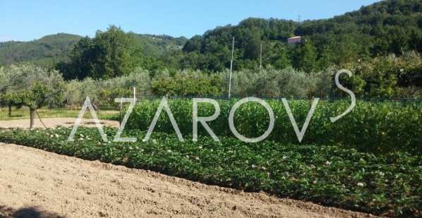В городе Carro, Лигурия, Италия продаётся дом. Цена 539000 евро
