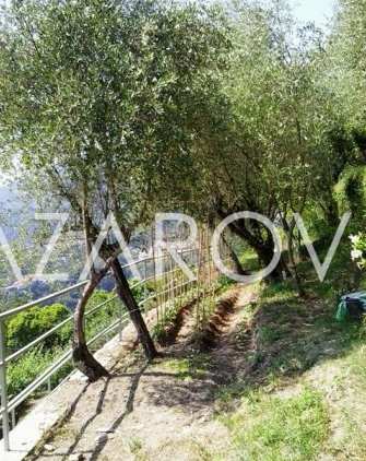 В Караско, Лигурия продаётся дом с садом. Цена €105000