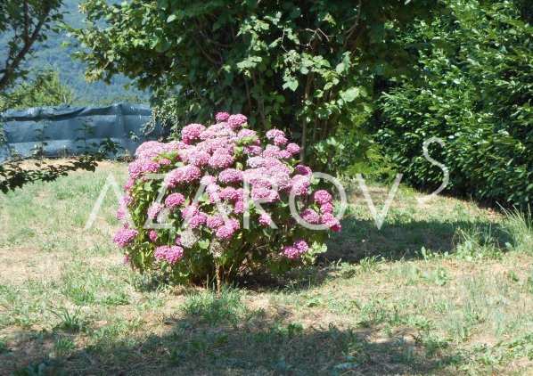 В Savignone, Лигурия продажа виллы с садом. Цена 605000 евро