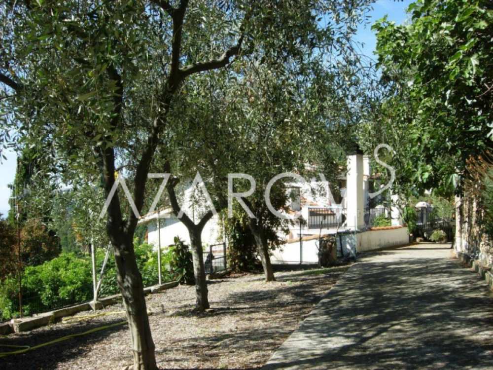 Camporosso 享有果园和海景的别墅
