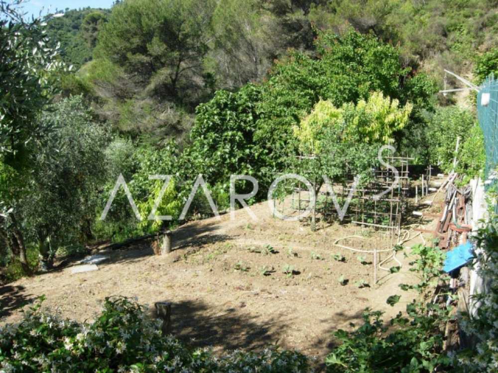 Camporosso 享有果园和海景的别墅